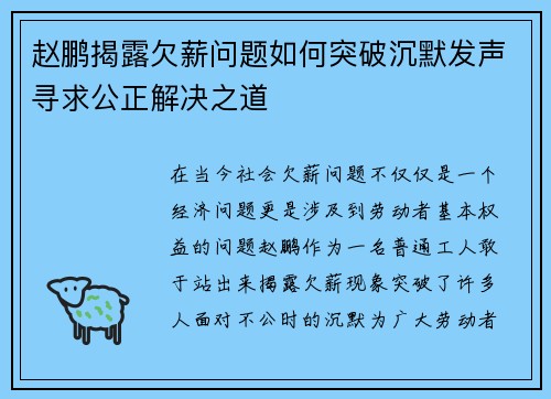 赵鹏揭露欠薪问题如何突破沉默发声寻求公正解决之道